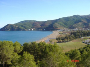Amsabeach